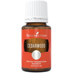 cedarwood-essential_oil